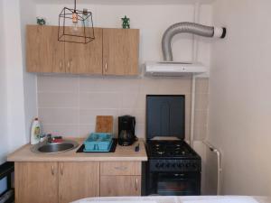 Apartamentul de langa Parc Ciurchi, Spitalul de Urgenta pentru Copii Sfanta Maria, Spitalul Clinic de Urgenta Profesor Nicolae Oblu