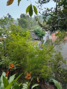 Mountain Bliss Villa