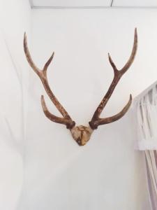 Mountain Bliss Villa