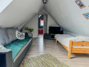 Willa Konda - bania , sauna