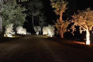 B&B / Chambres d'hotes Sous les oliviers - Studios climatises de standing tout-equipes : photos des chambres