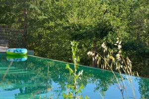 B&B / Chambres d'hotes Sous Les oliviers - Piscine chauffee a debordement - Charming : photos des chambres