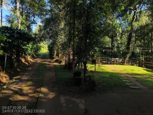 Coorg amodhini