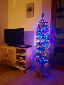 Incantevole appartamento, completo e confortevole con ampia terrazza privata e vista sulle colline Toscane, a pochi chilometri dal mare, vicino ai percorsi per bici della zona