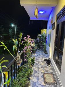 Leaf And Light Villa