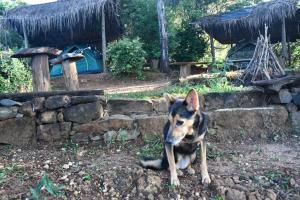 Belihuloya Fattah Camping Resort