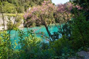 Il Principe di Stifone