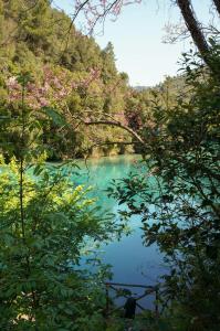 Il Principe di Stifone