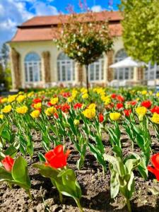 Palatul Brukenthal Avrig