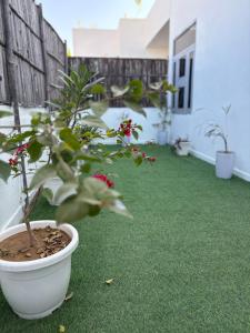 Homeland Villa- Luxury Villa with Garden