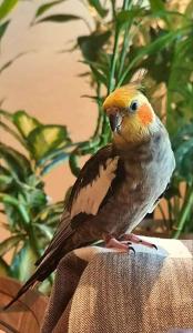 Private Bedroom in Melbourne CBD