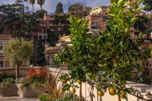 C&Y Roma Trastevere Luxury Terrace