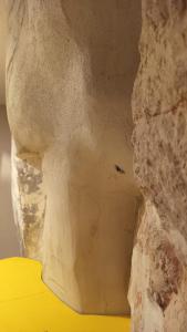 15min to Polignano - Free Wi-Fi Stone & Desing suite