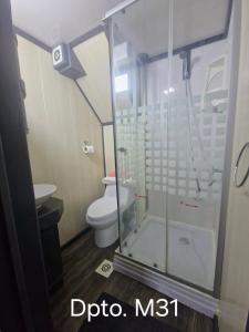 Wildepartamentos Valdivia Studio TM