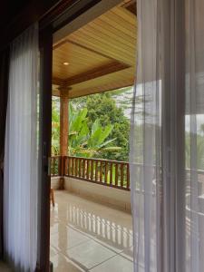 Widis House with Jungle Lush View