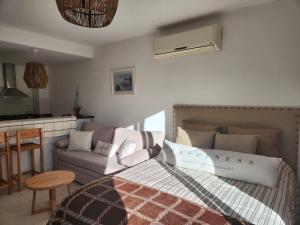 Tigre Studio Apartment