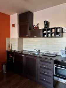 Bansko Royal Towers apartment Star