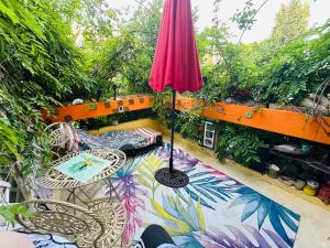 Green house, cosy garden Paris