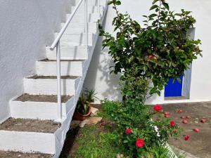 Servigueira by Grota Lodging