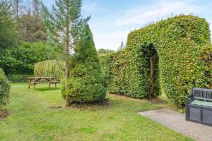 3 Bed in Morpeth oc-t32249