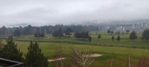 Terra SP apartments-Razlog