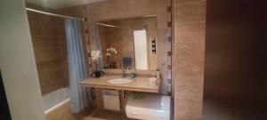 Terra SP apartments-Razlog