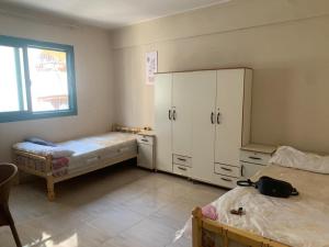 elseferat new hoteal 2026