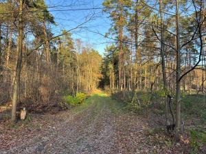 Smart Home Mitten im Wald perfekte Auszeit