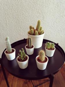 Ferienwohnung Südschwarzwald