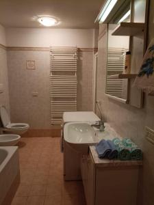 Appartamento vintage mountain premium