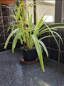 LK Coastal Stay Walvis Bay Self-Catering