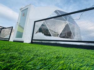 Buddy glamping Borjomi