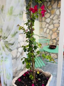 La Colonnina - Minturno