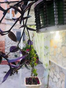 La Colonnina - Minturno