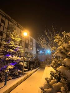 Serendipity Apartment