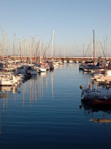 Les pieds dans lô - Oléron