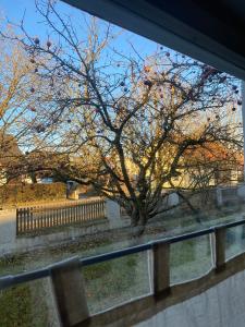 Ferienwohnung am Kirschbaum