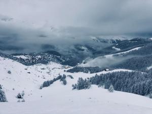 Crystal Lodge - Auron 2 pièces