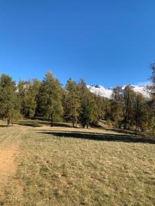 Crystal Lodge - Auron 2 pièces