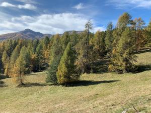 Crystal Lodge - Auron 2 pièces