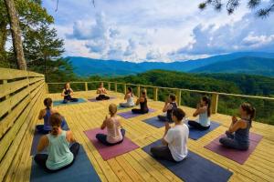 Mt Sunshine - Infinity Pool Sleeps 22 12 Beds