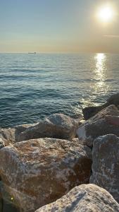 LuTomic Trieste dream