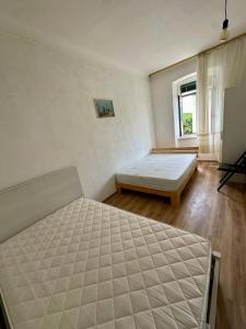 LuTomic Trieste dream