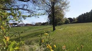 Les hirondelles de montsec