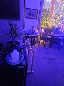 The blue international inn