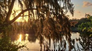 Studio du barachois à Roches-Noires