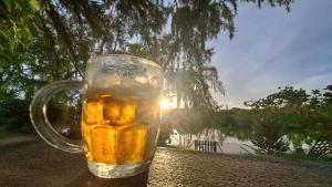 Studio du barachois à Roches-Noires