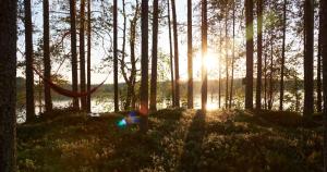 Capture Nordic Wilderness Camp - Baumzelt