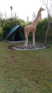 Ole Sam Camping and Retreat Gardens