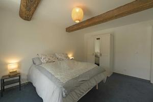 La maison du merle bleu